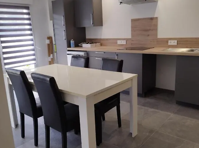 L'harmonie I 公寓 Fraize