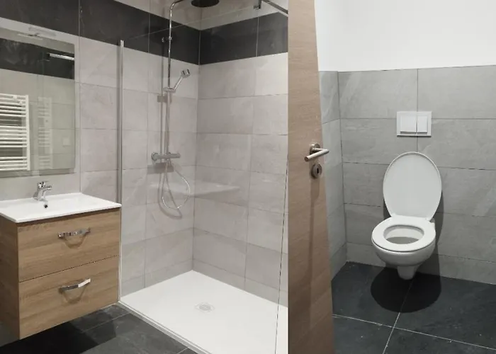 L'harmonie I 公寓 Fraize